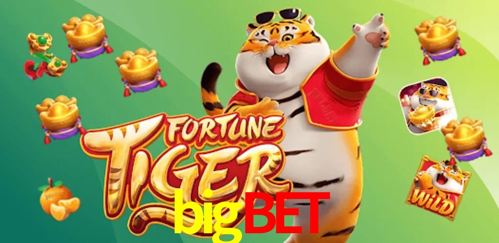 VIP Casino bigbet