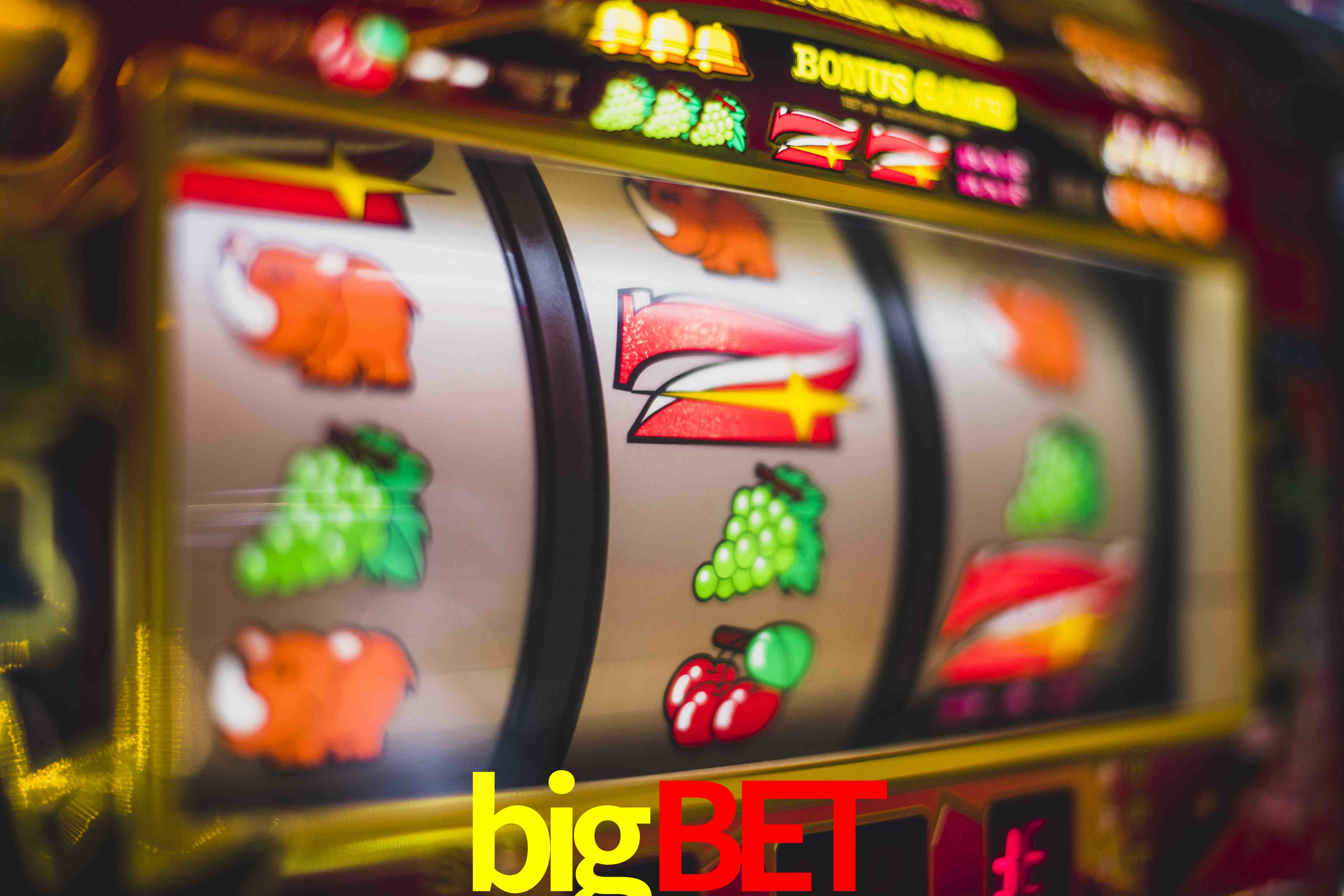 Programa VIP bigbet